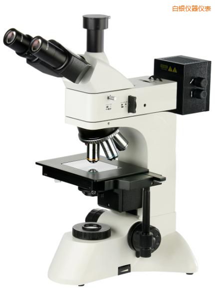 ���y͸��������@΢�R