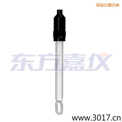 保定無溫補兩線電導率電極