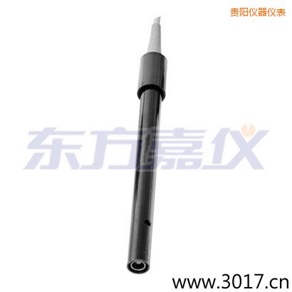 貴陽含有溫度的兩線電導(dǎo)率電極