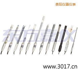 貴陽pH電極