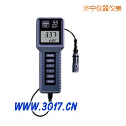 濟寧溶解氧、溫度測量儀
