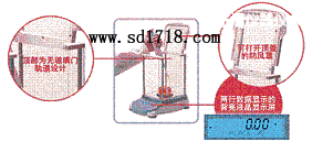 �������M(j��n)����ƽ,4100g,0.1g