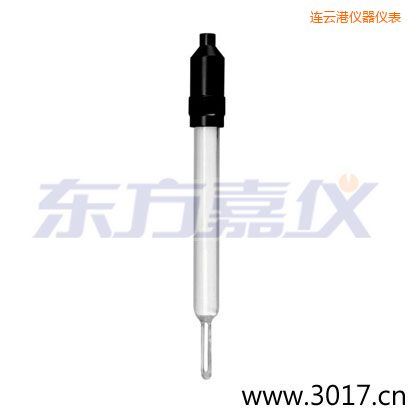 連云港玻璃外殼無(wú)溫補(bǔ)兩線電導(dǎo)率電極