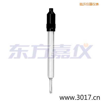 臨沂玻璃外殼無(wú)溫補(bǔ)兩線(xiàn)電導(dǎo)率電極