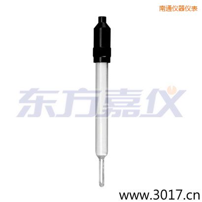 南通玻璃外殼無溫補兩線電導(dǎo)率電極