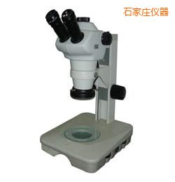 石家莊時代體視顯微鏡