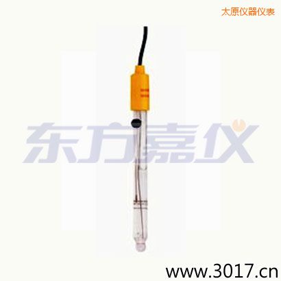 太原可填充玻璃管電極