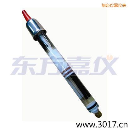 煙臺(tái)玻璃外殼,無溫補(bǔ)雙鹽橋電極
