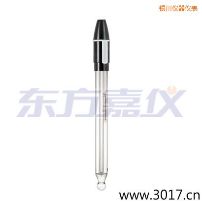 銀川玻璃外殼可填充雙鹽橋復(fù)合電極