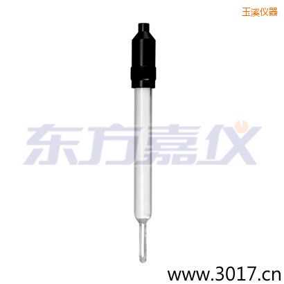 玉溪玻璃外殼無溫補兩線電導率電極